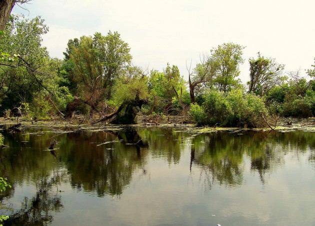 Malý Dunaj Potônské Lúky 26 - 19.5.2016