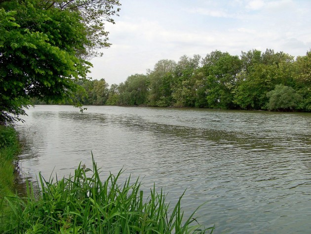 Malý Dunaj Potônské Lúky 27 - 19.5.2016