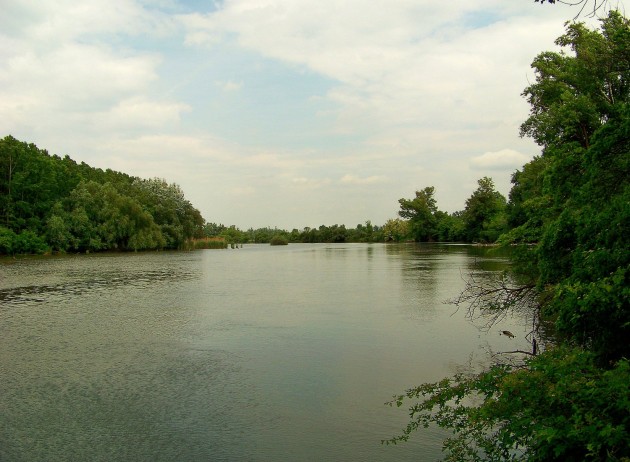 Malý Dunaj Potônské Lúky 40 - 19.5.2016